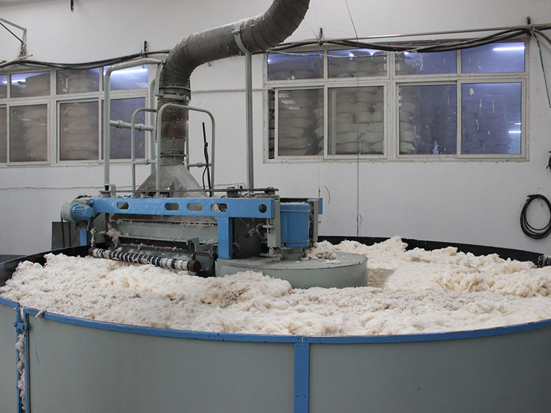 ballbet贝博BB娱乐：标美服饰：一件运动内衣的全球突围